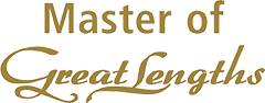 Master Of Logo.